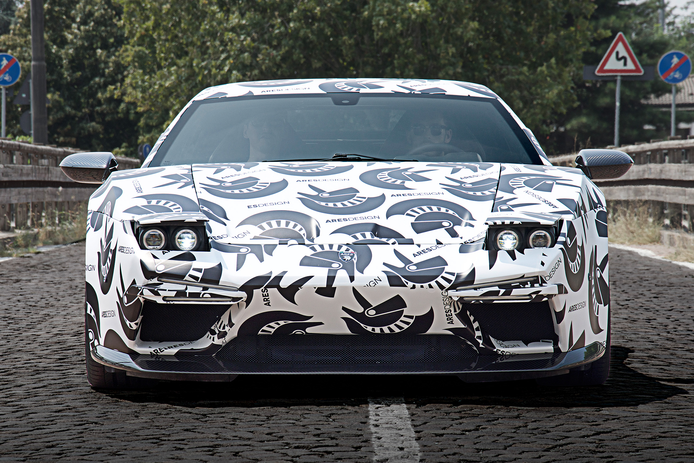 ARES Panther - front