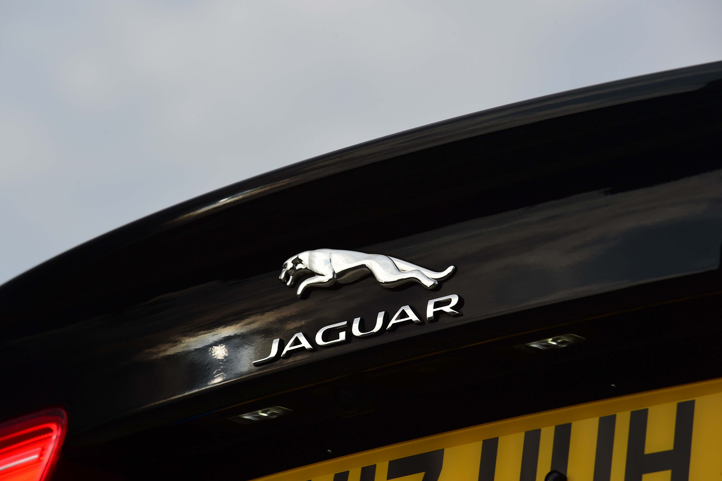 Jaguar XE - Jaguar Badge