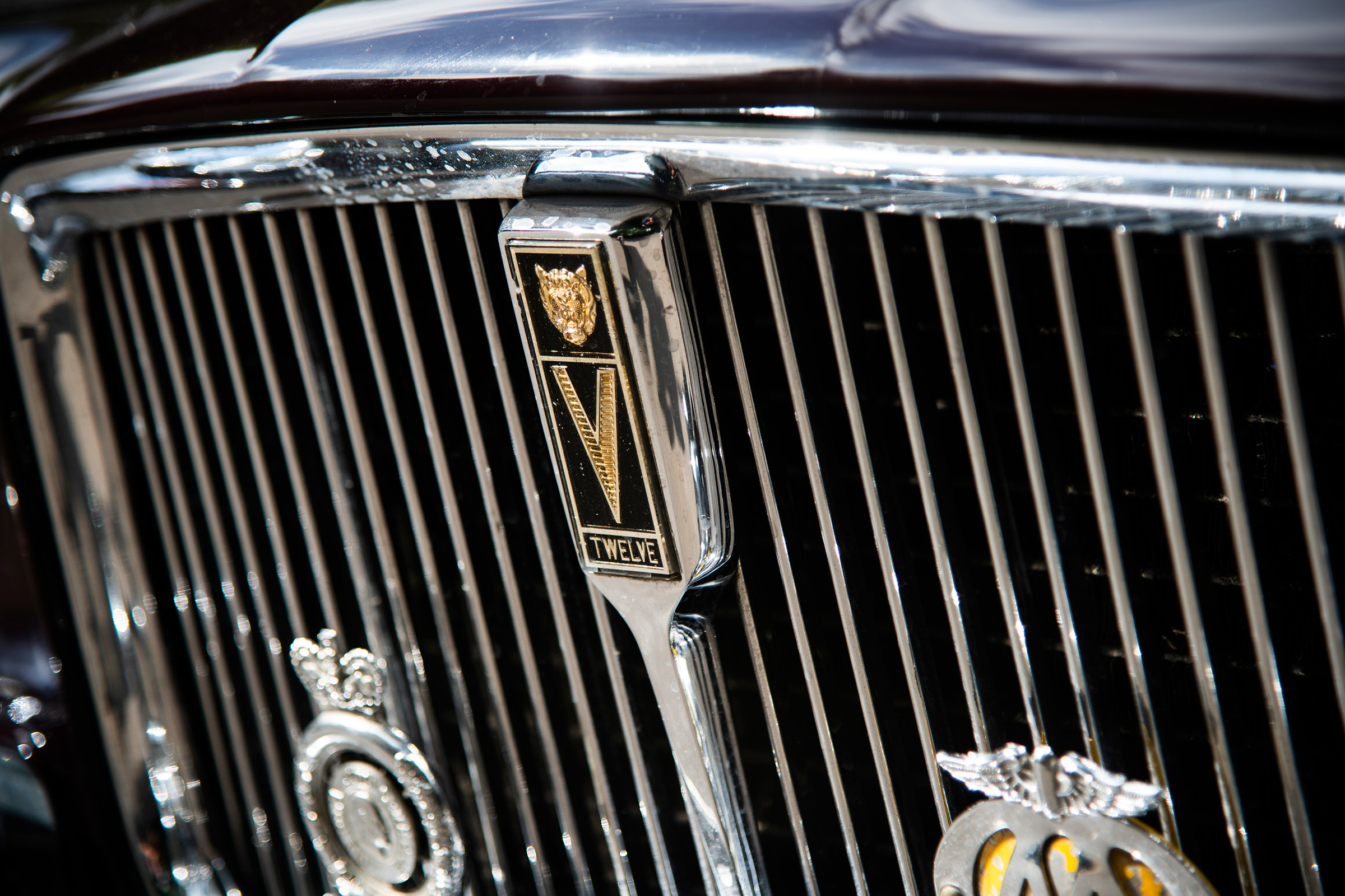 Jaguar XJ12 S1 Vanden Plas grille