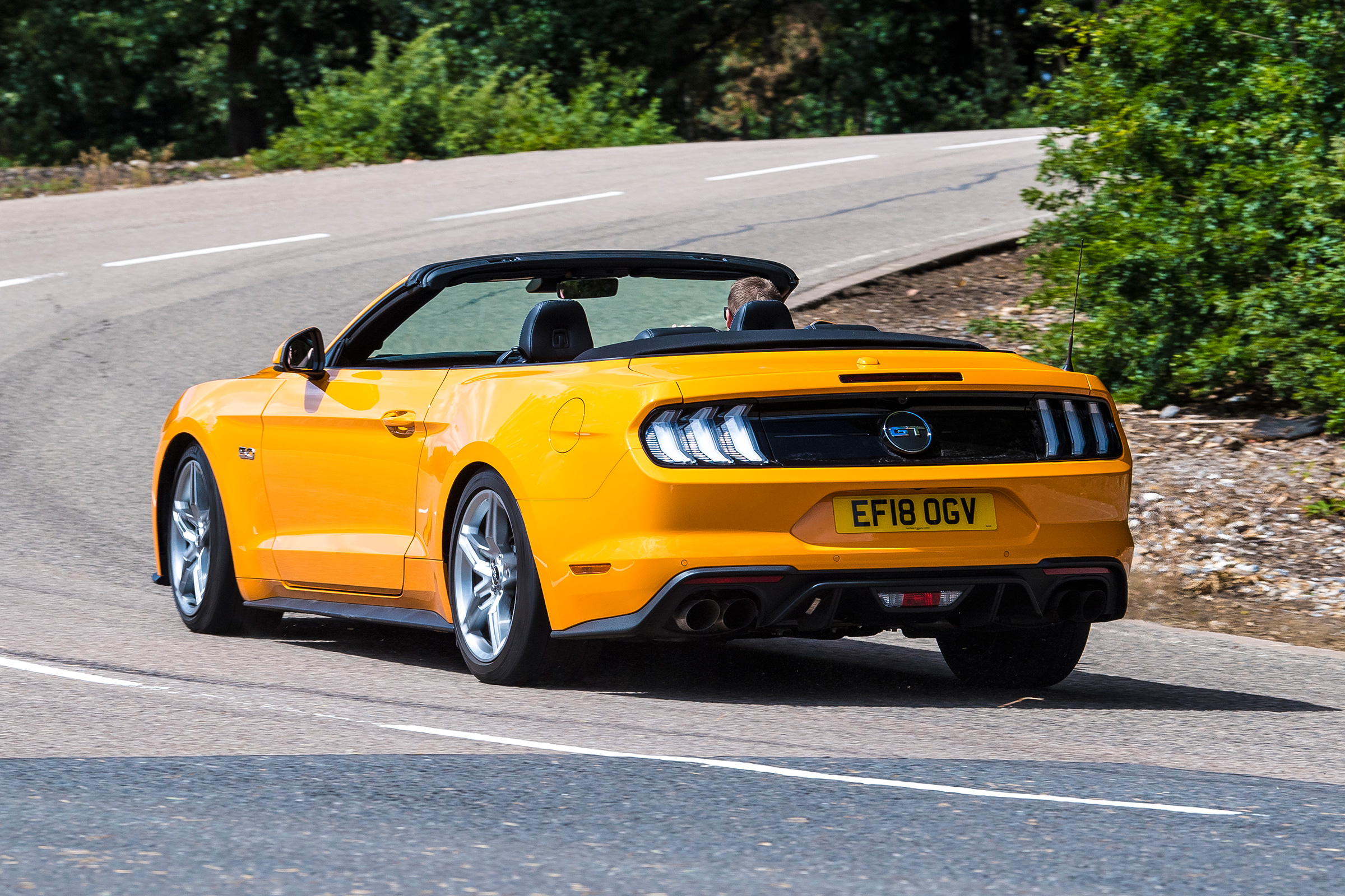 Ford Mustang Convertible - rear