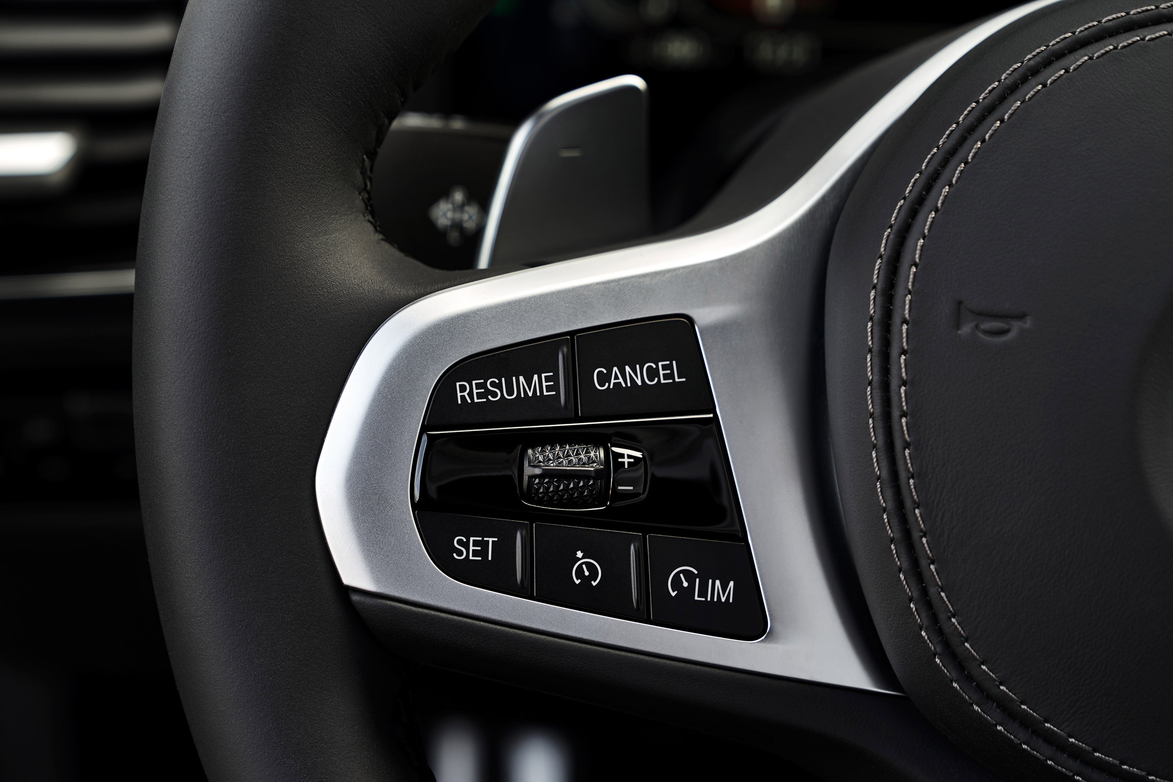 BMW 8 Series - steering wheel detail