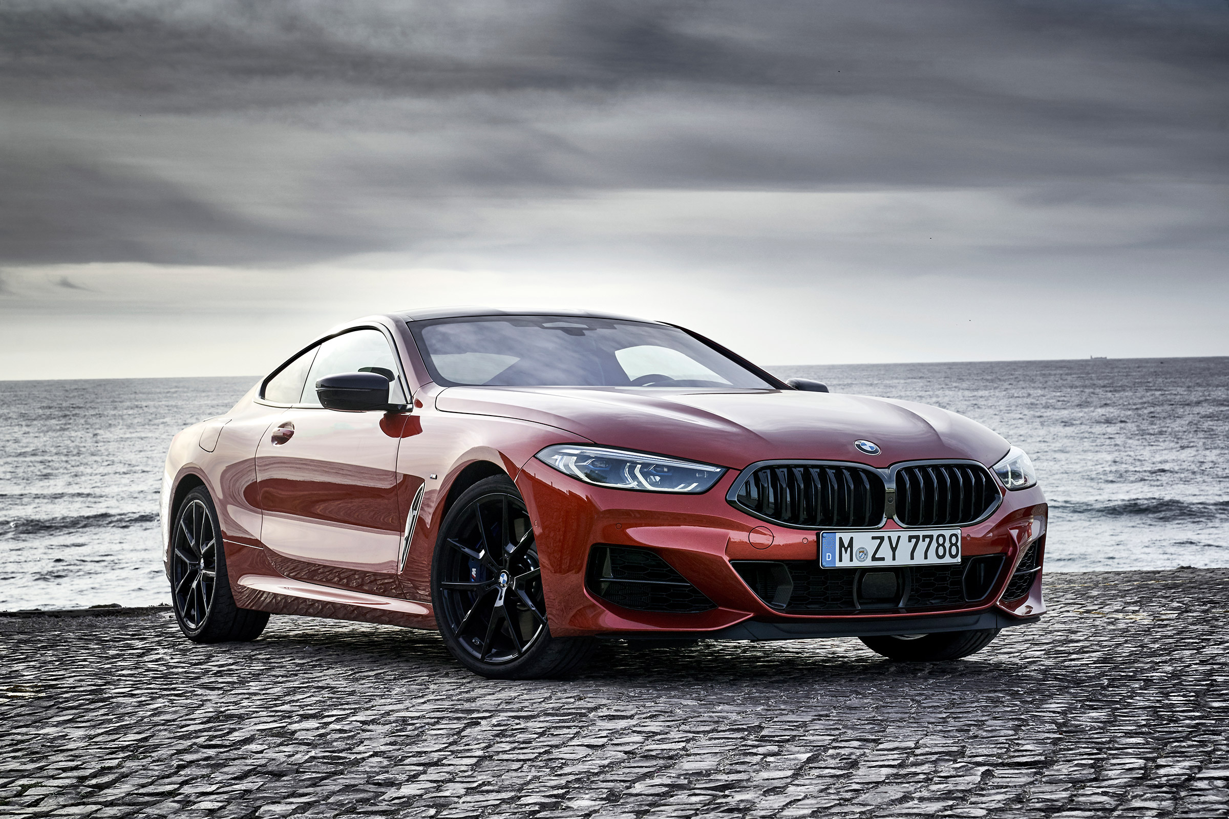 BMW 8 Series - front static
