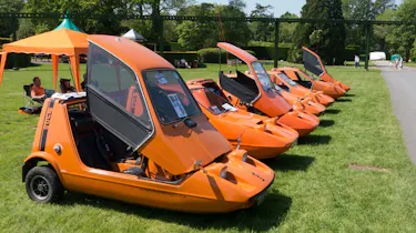 Bond Bug group