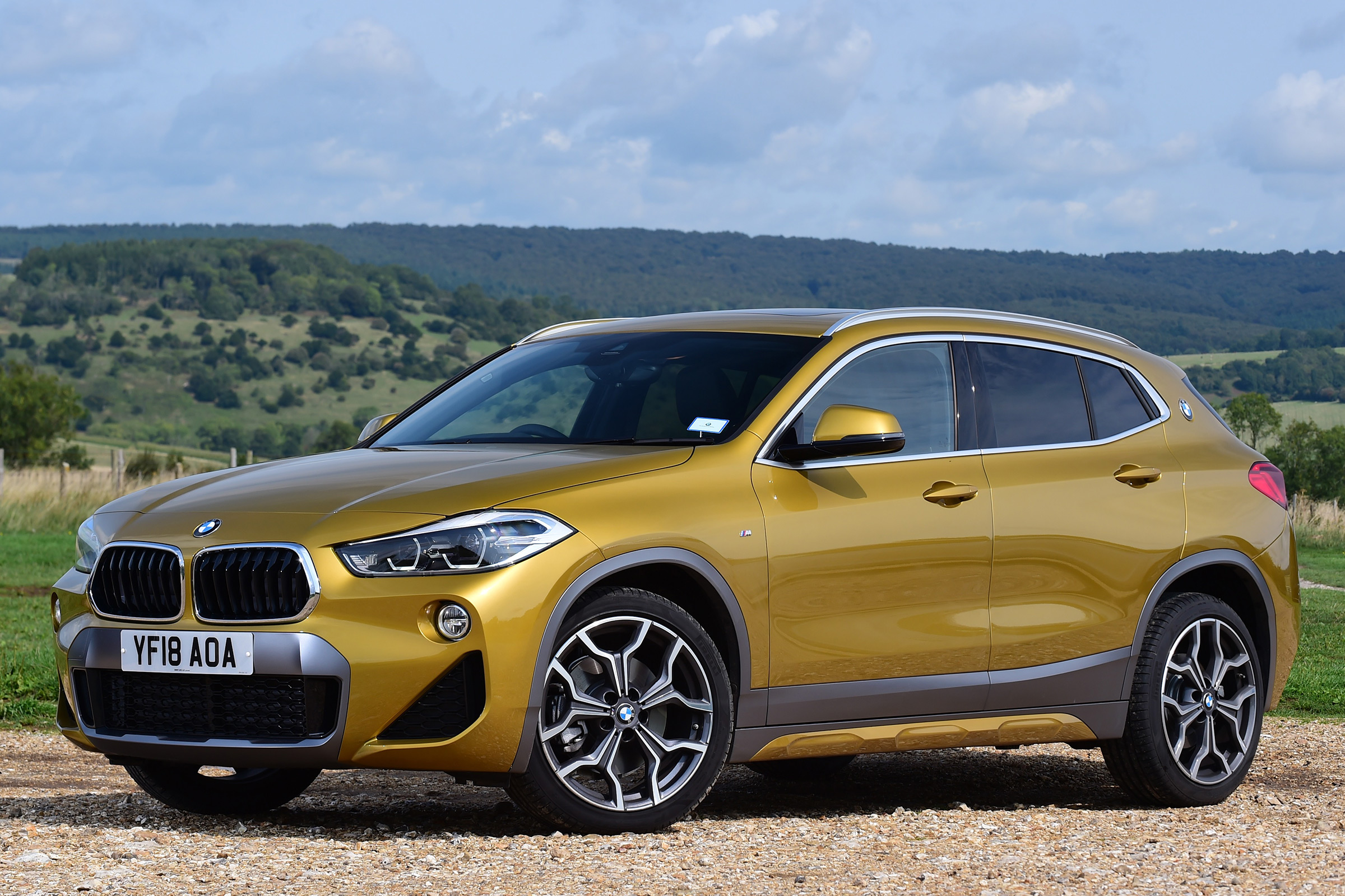 bmw x2 static