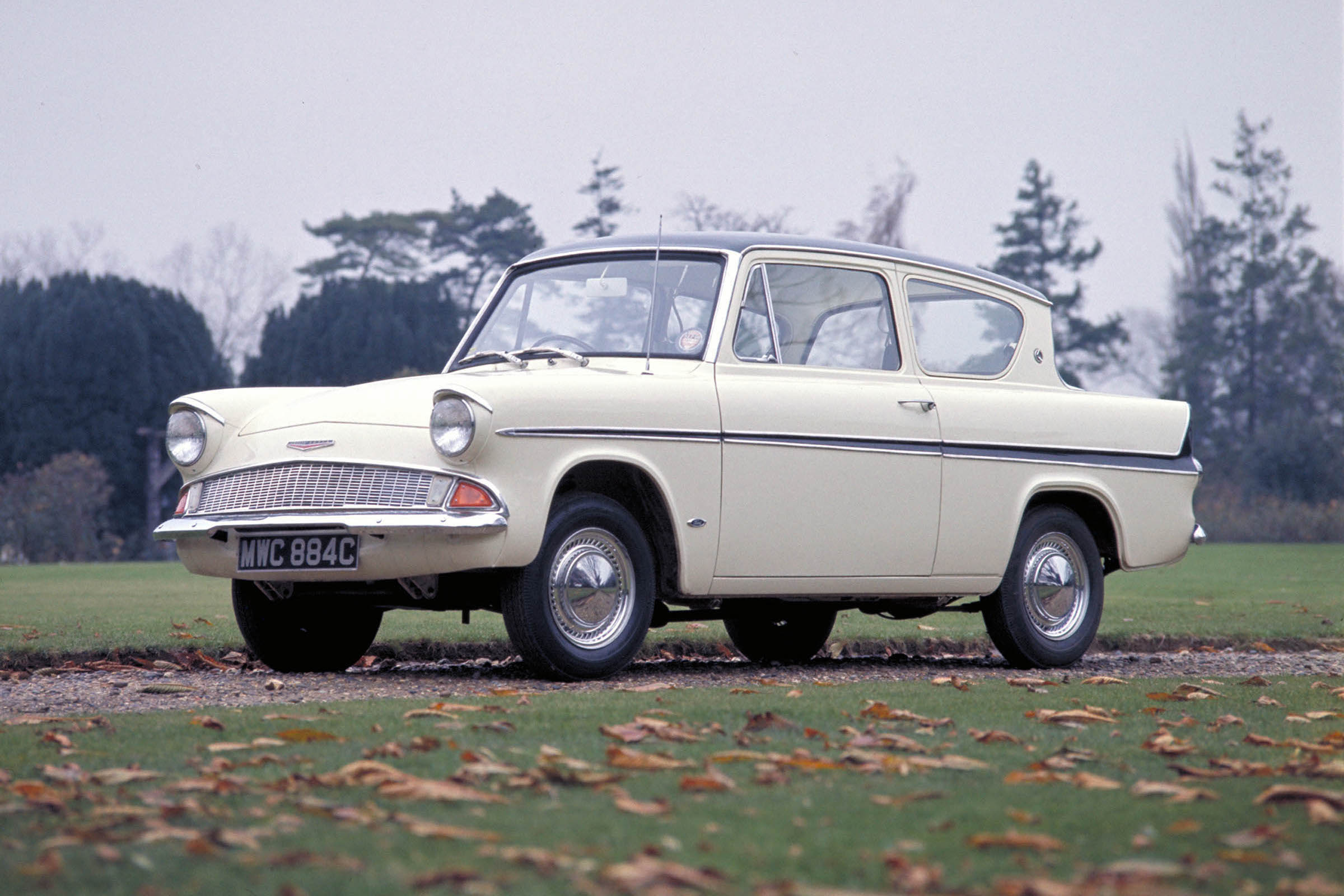 Ford Anglia white