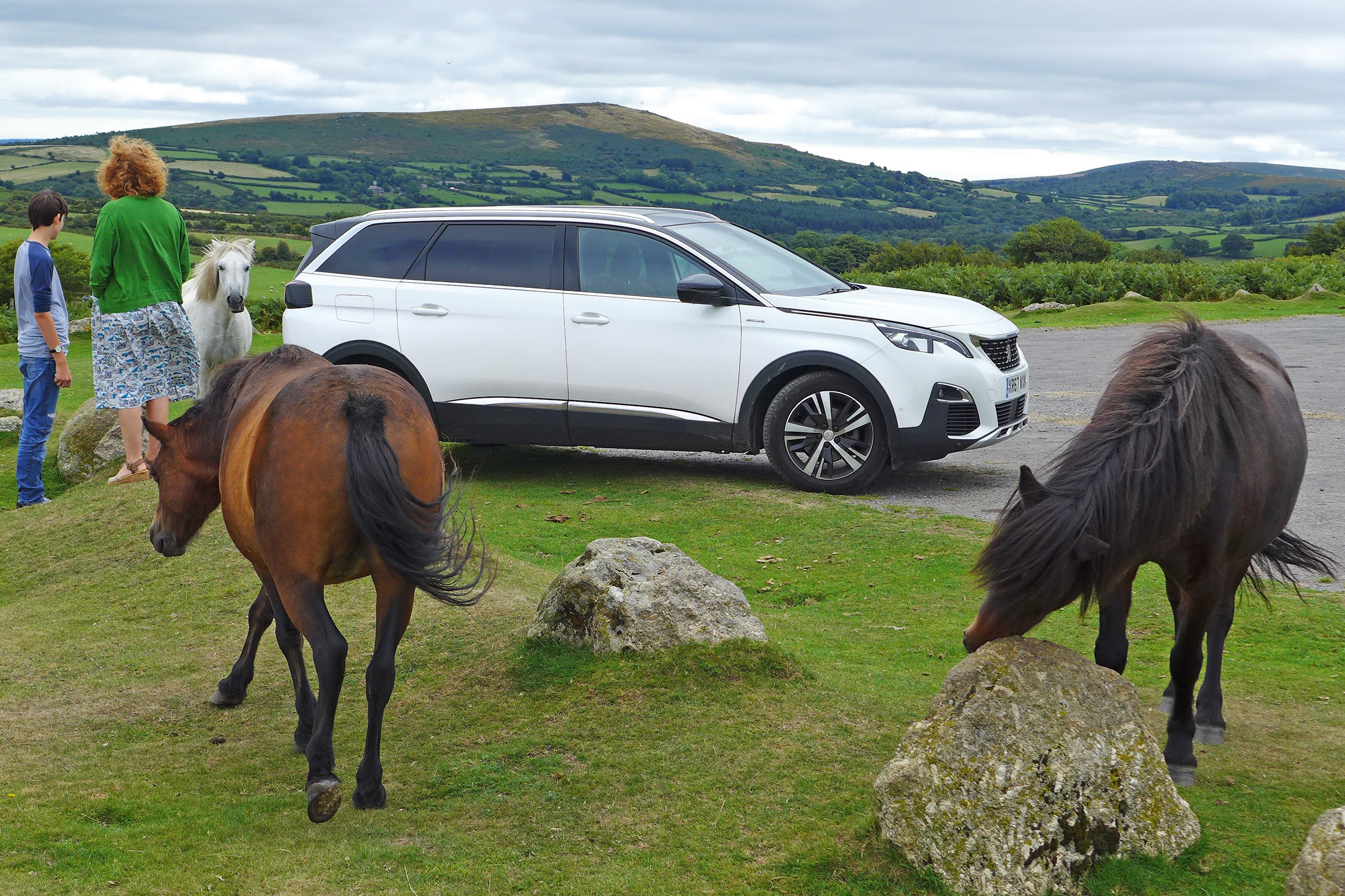 peugeot 5008 long termer static