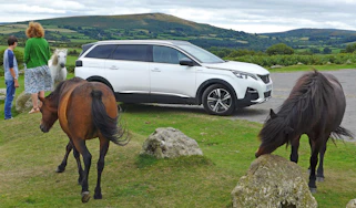 peugeot 5008 long termer static