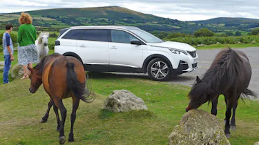 peugeot 5008 long termer static