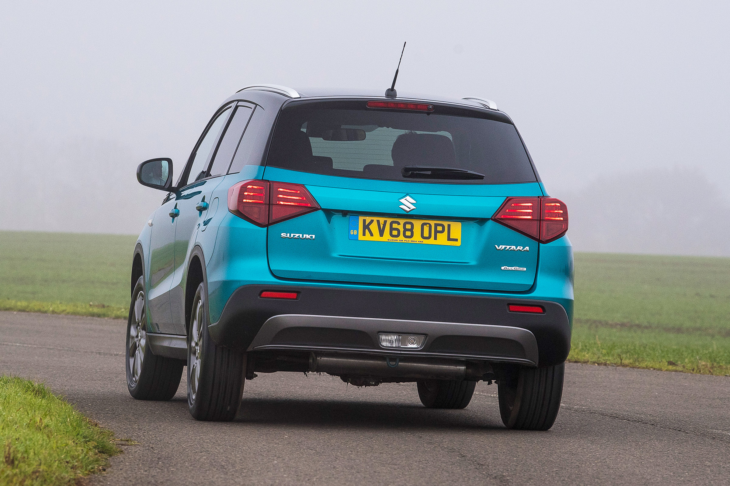 Suzuki Vitara - rear action