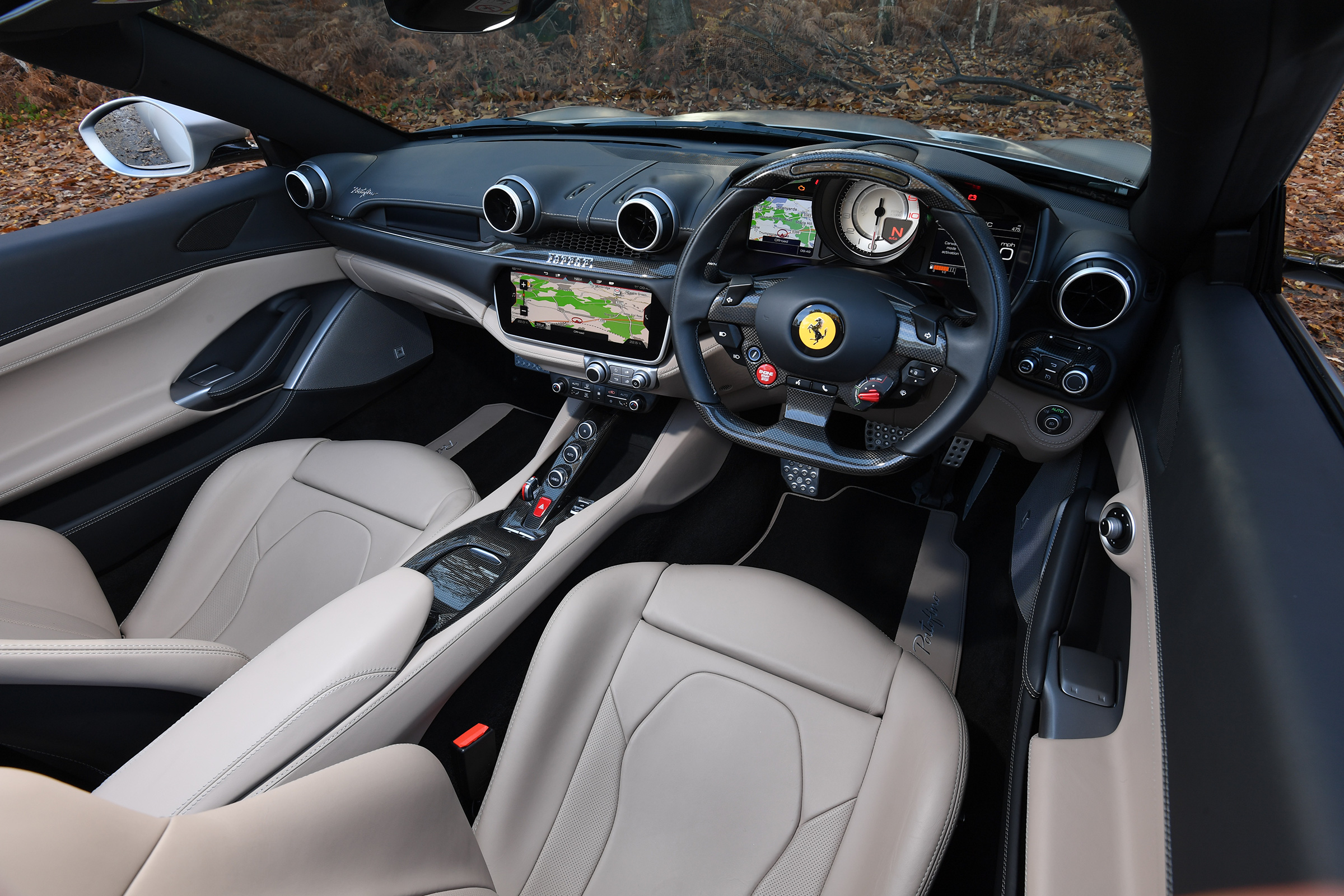 Ferrari Portofino - interior door