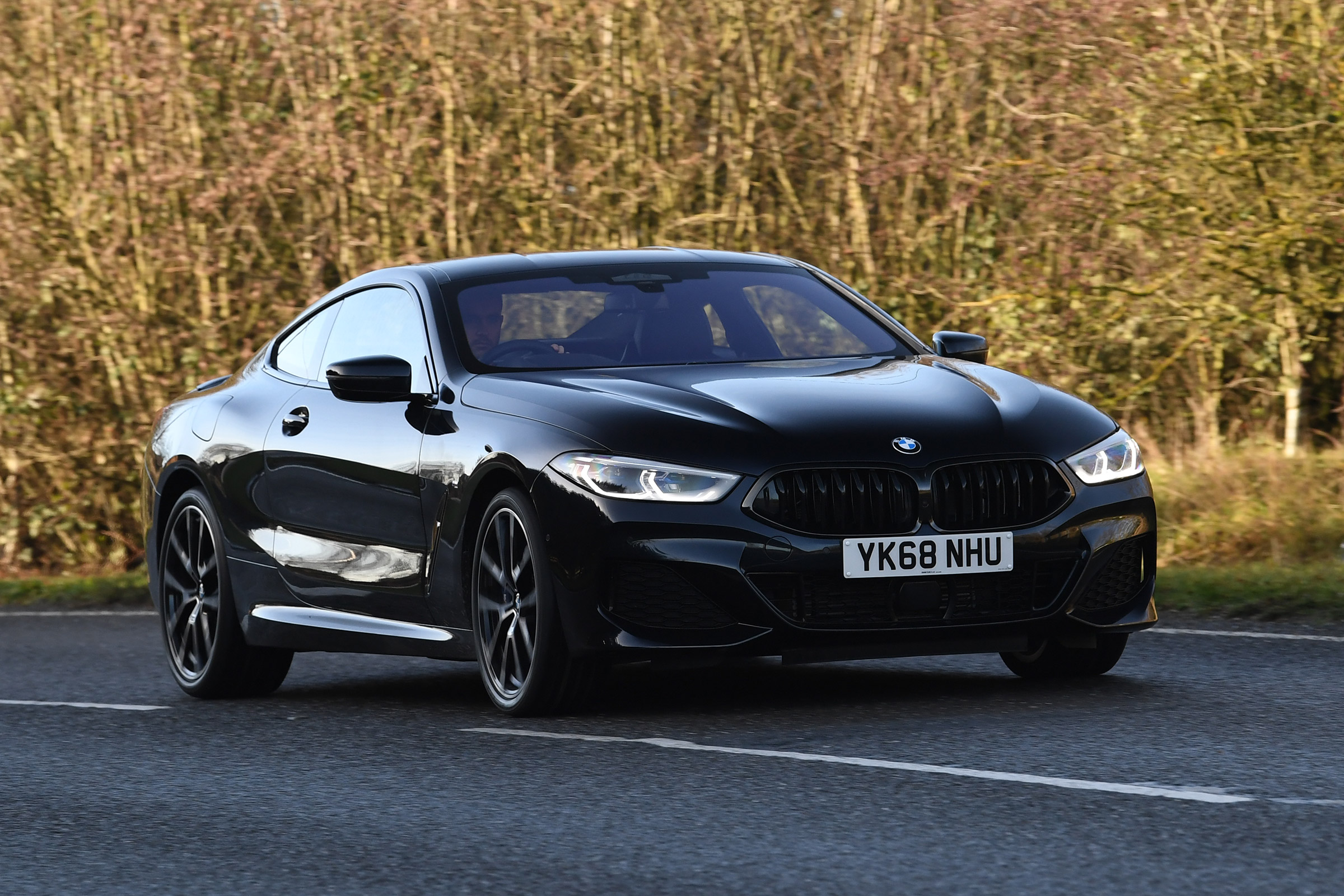 BMW 8 Series - front action