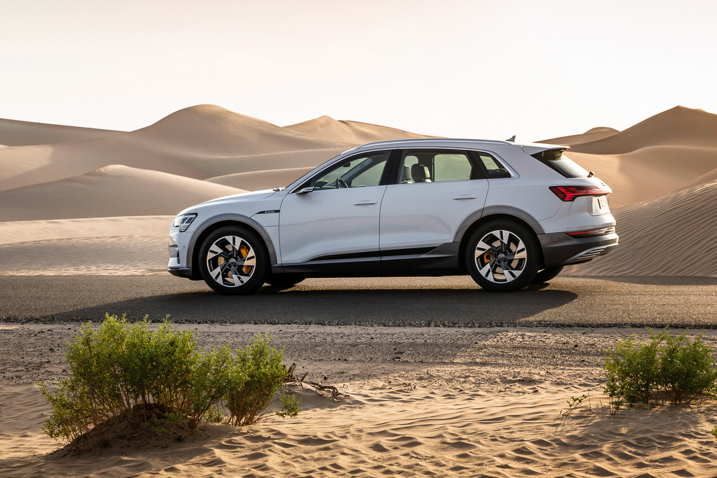 Audi e-tron side