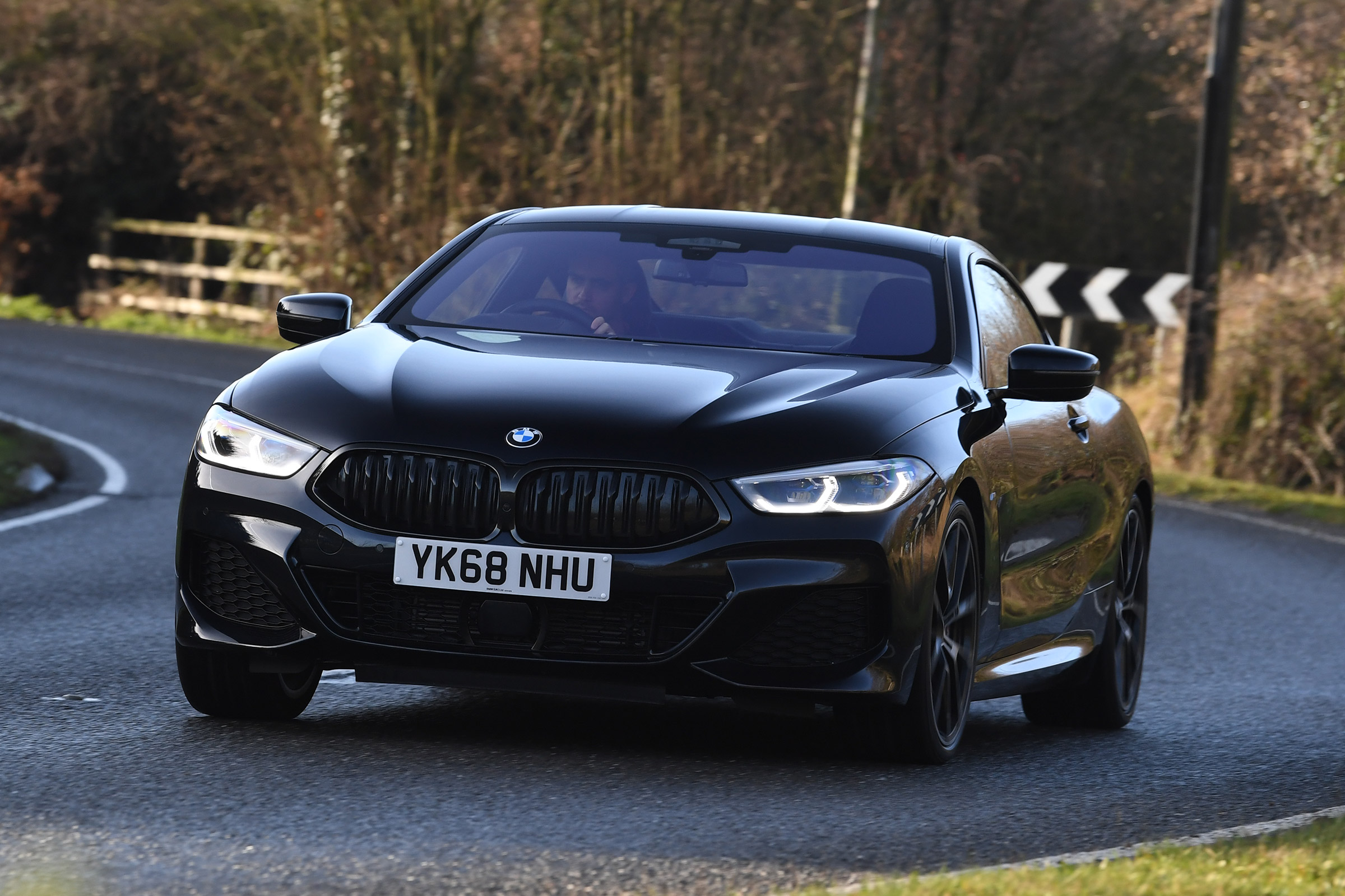BMW 8 Series - front cornering