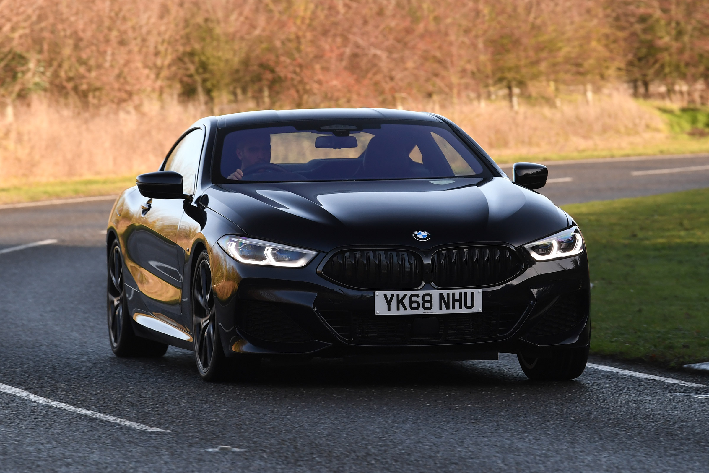 BMW 8 Series - front