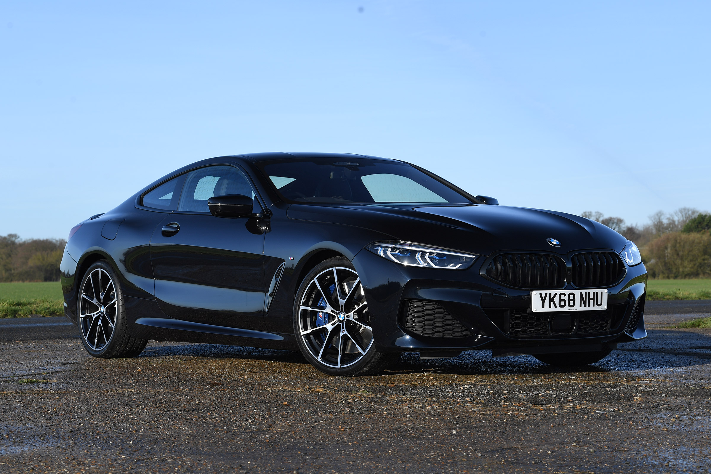 BMW 8 Series - front static