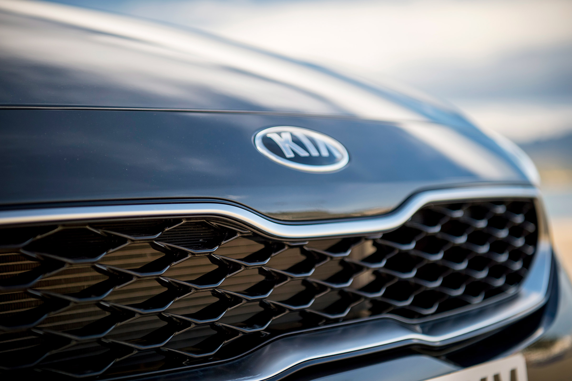 Kia Proceed - grille