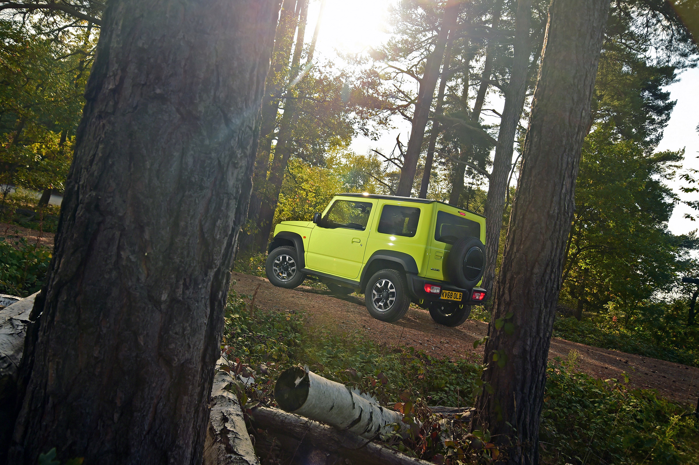 Suzuki Jimny - rear forest
