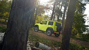 Suzuki Jimny - rear forest