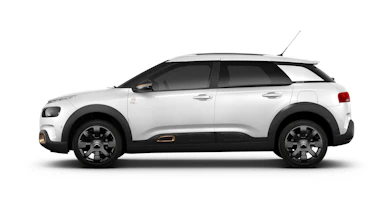 Citroen C4 Cactus Origins