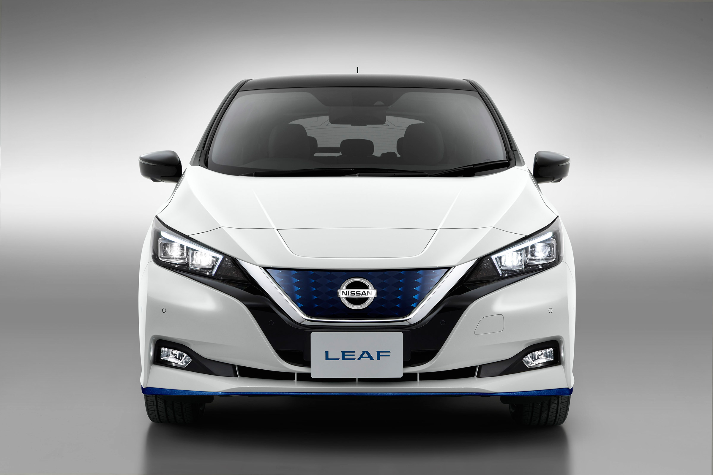 Nissan Leaf e+ - full front