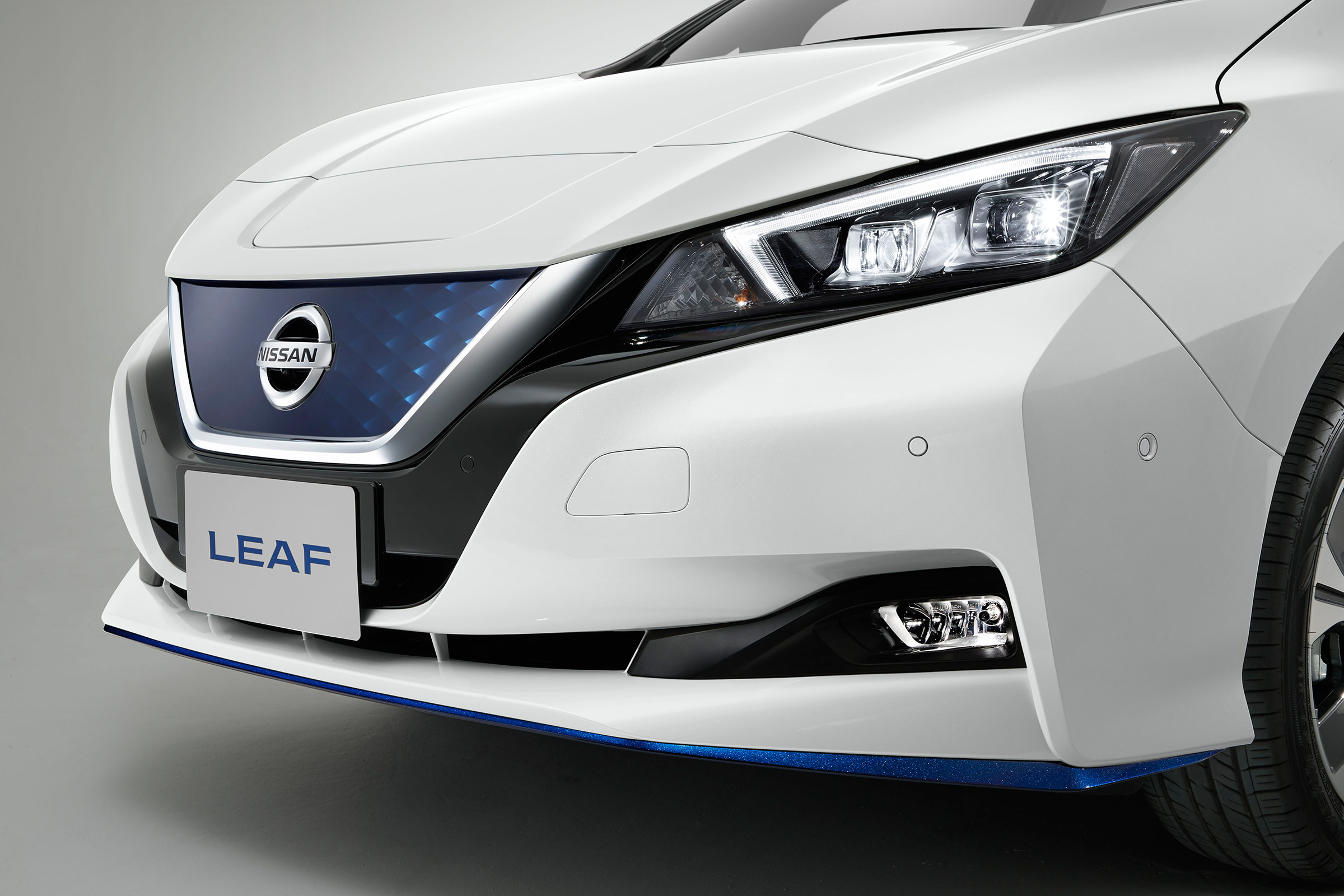 Nissan Leaf e+ - front detail
