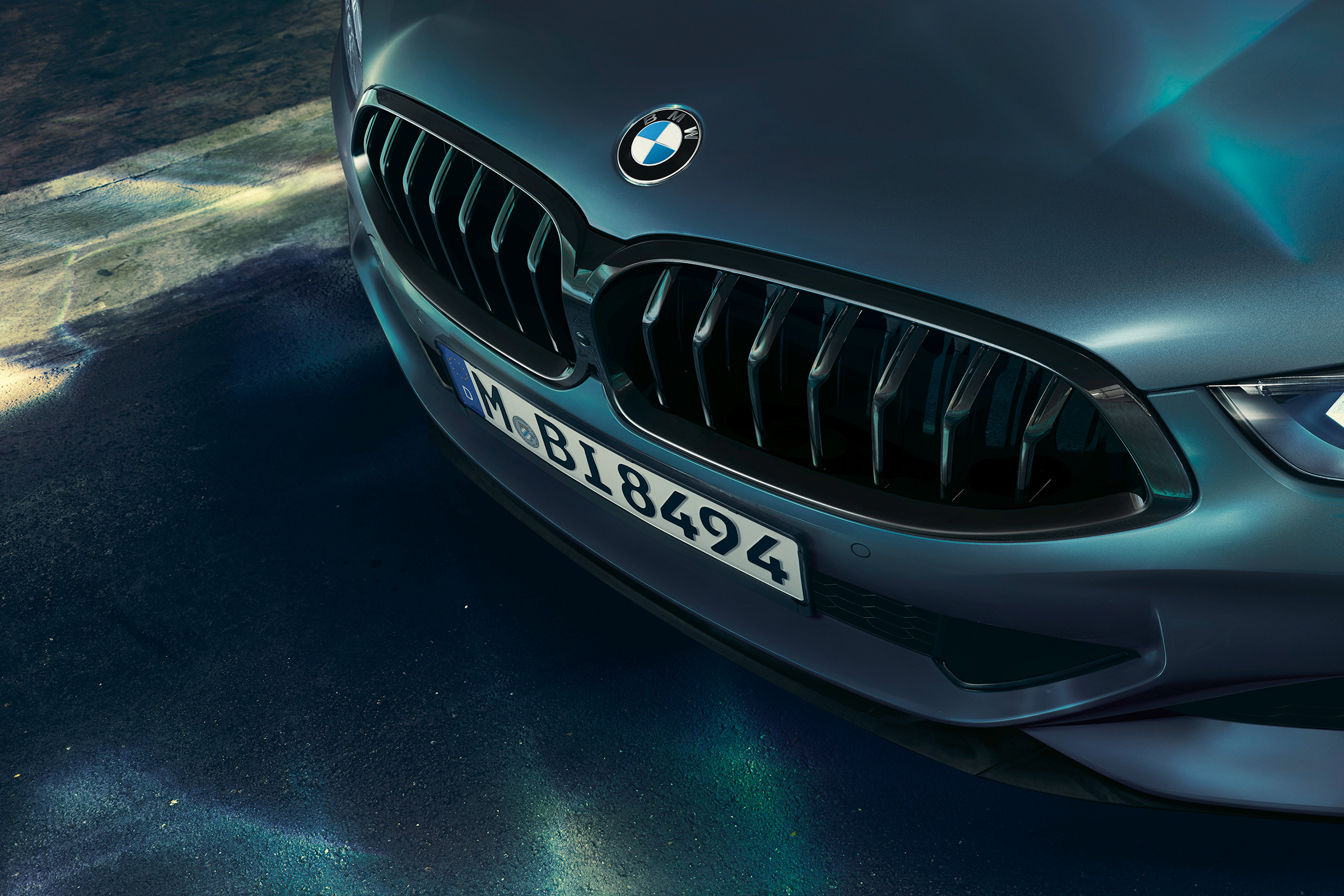 BMW 8 Series Coupe First Edition - grille