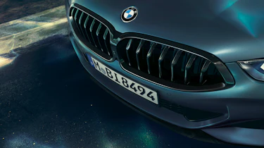 BMW 8 Series Coupe First Edition - grille