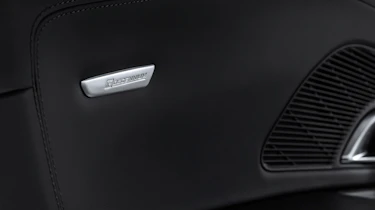 Audi R8 V10 Decennium - door