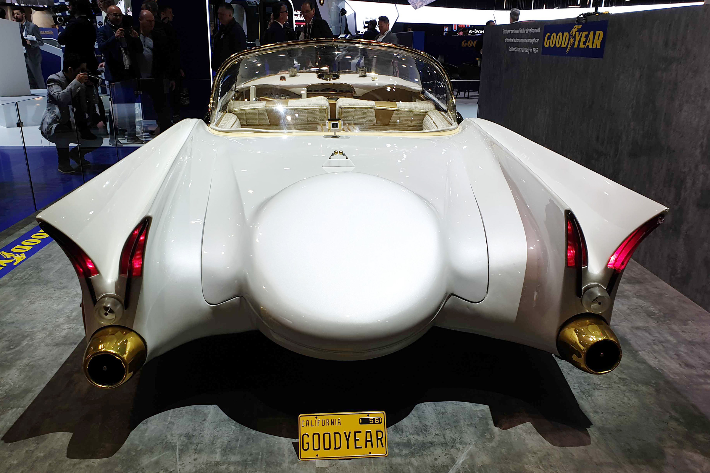 Golden Sahara II - rear