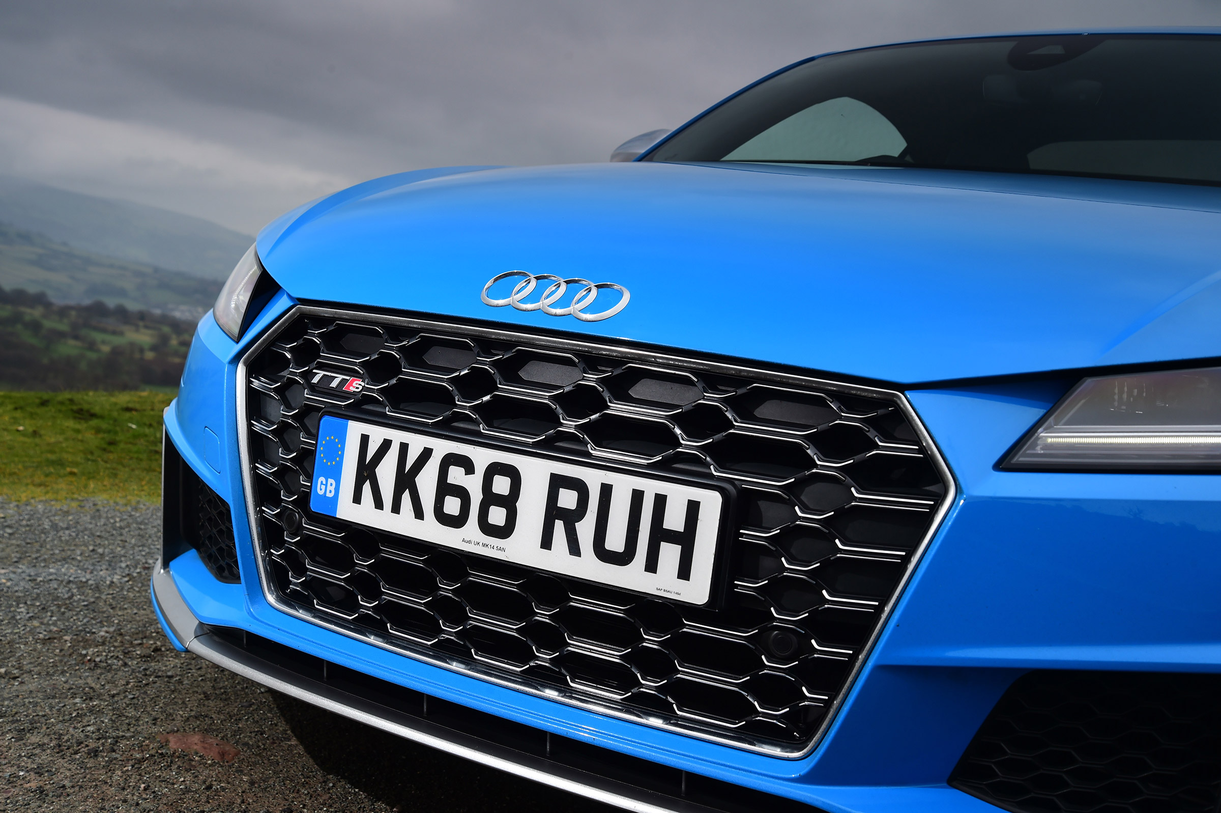 Audi TTS - grille
