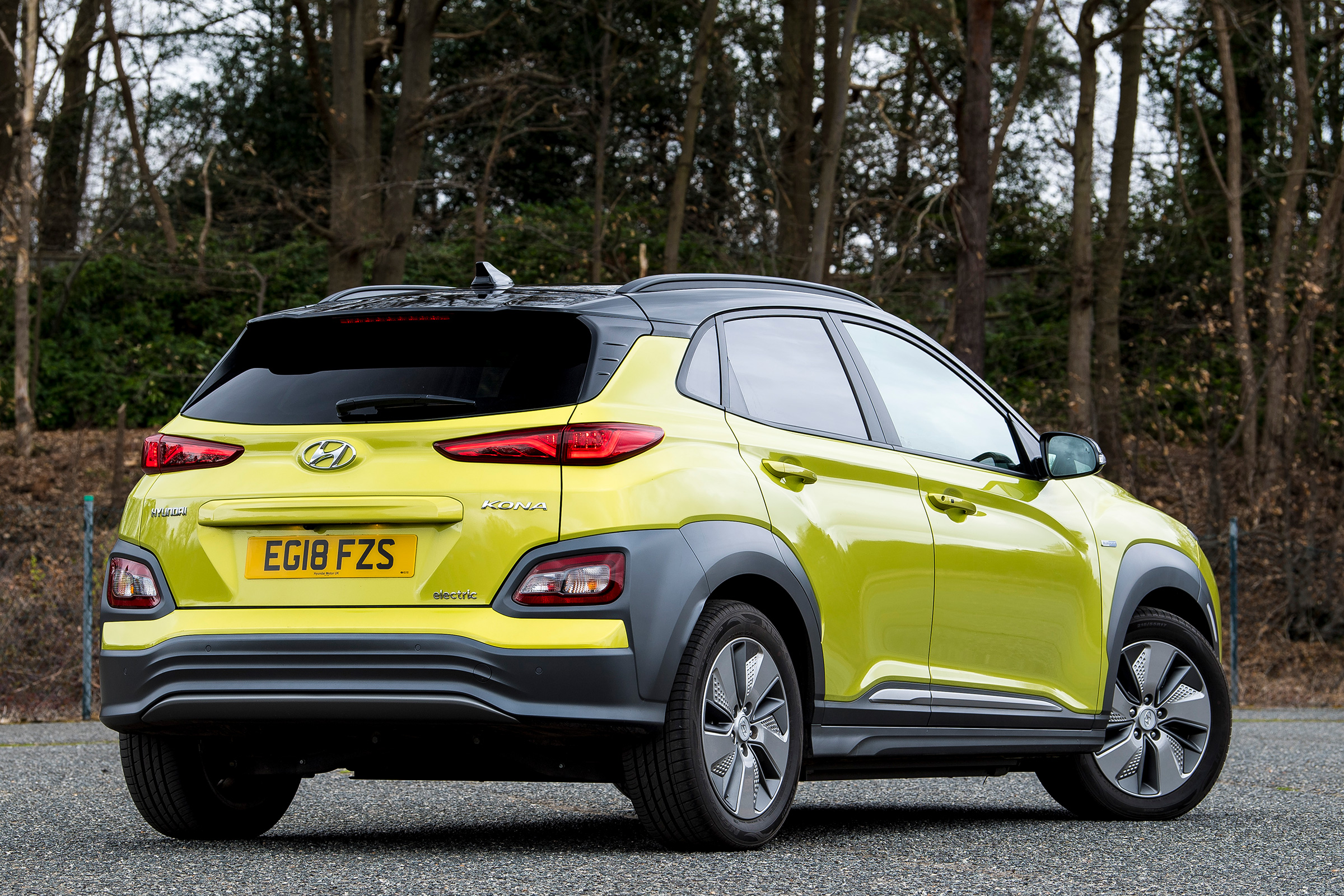 Hyundai Kona Electric rear static