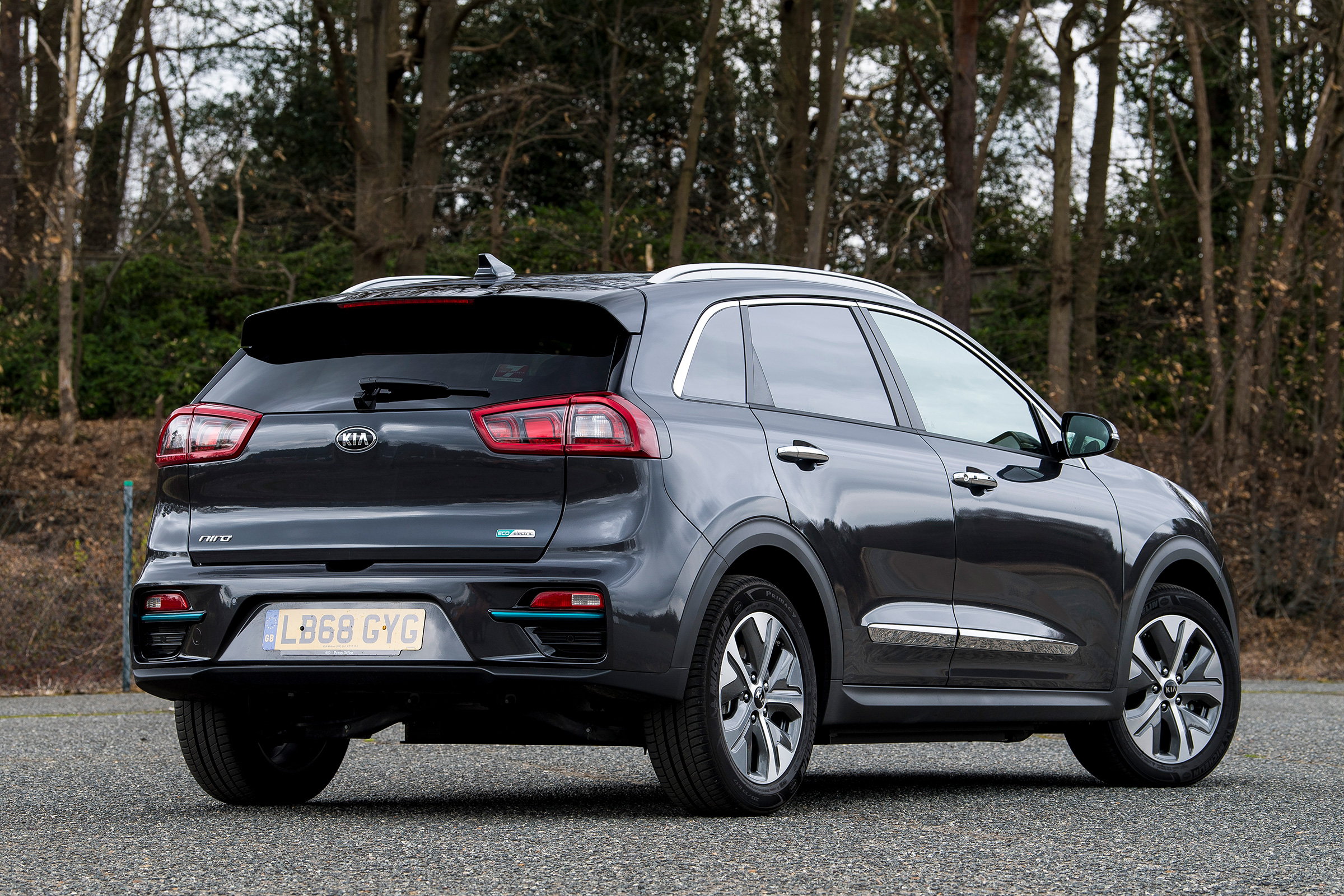 Kia e-Niro rear static