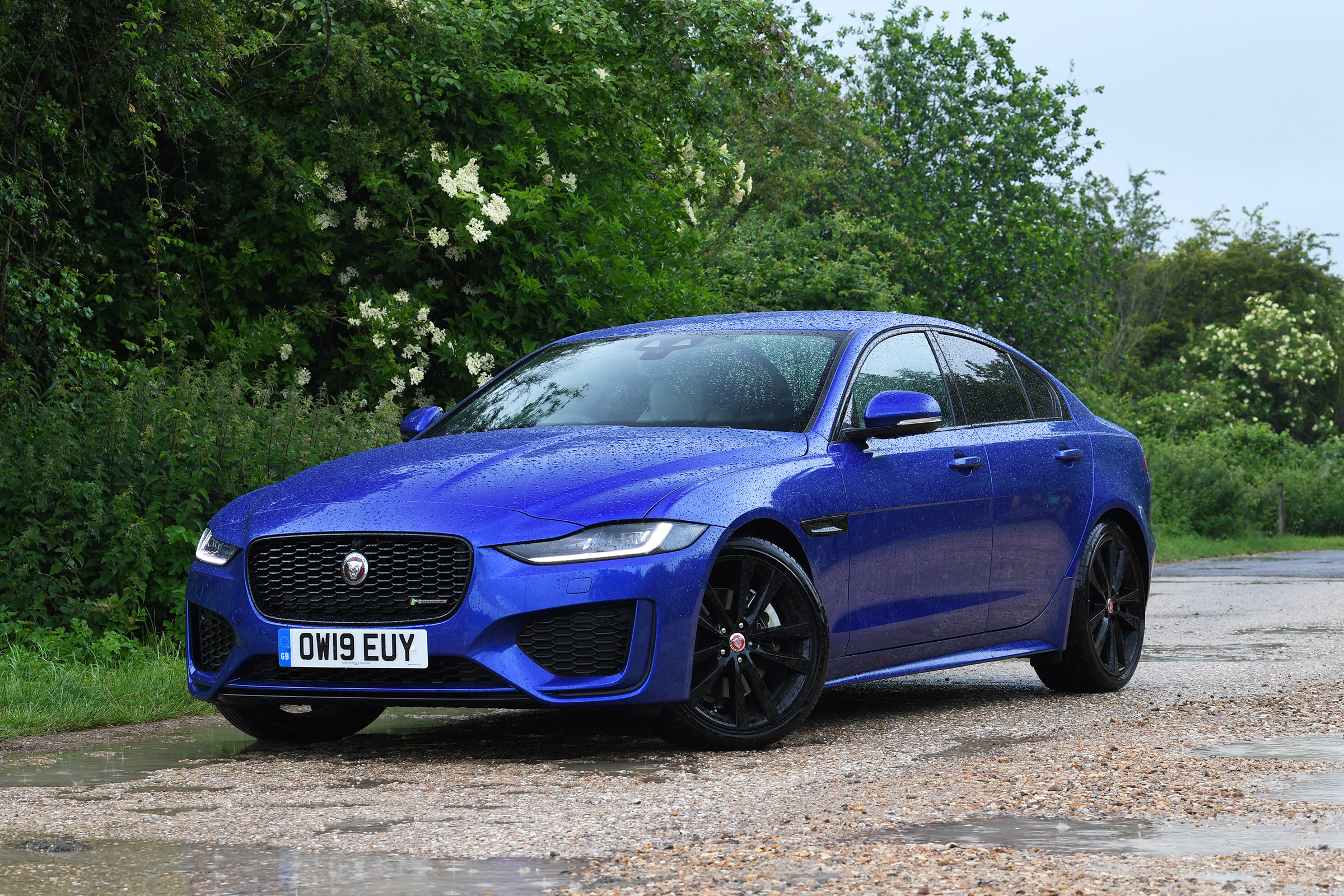 Jaguar XE - front static