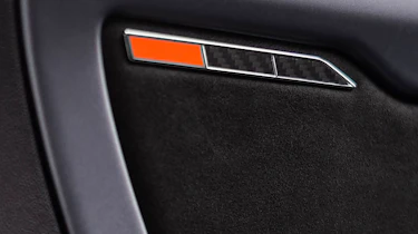 Alpine door panel