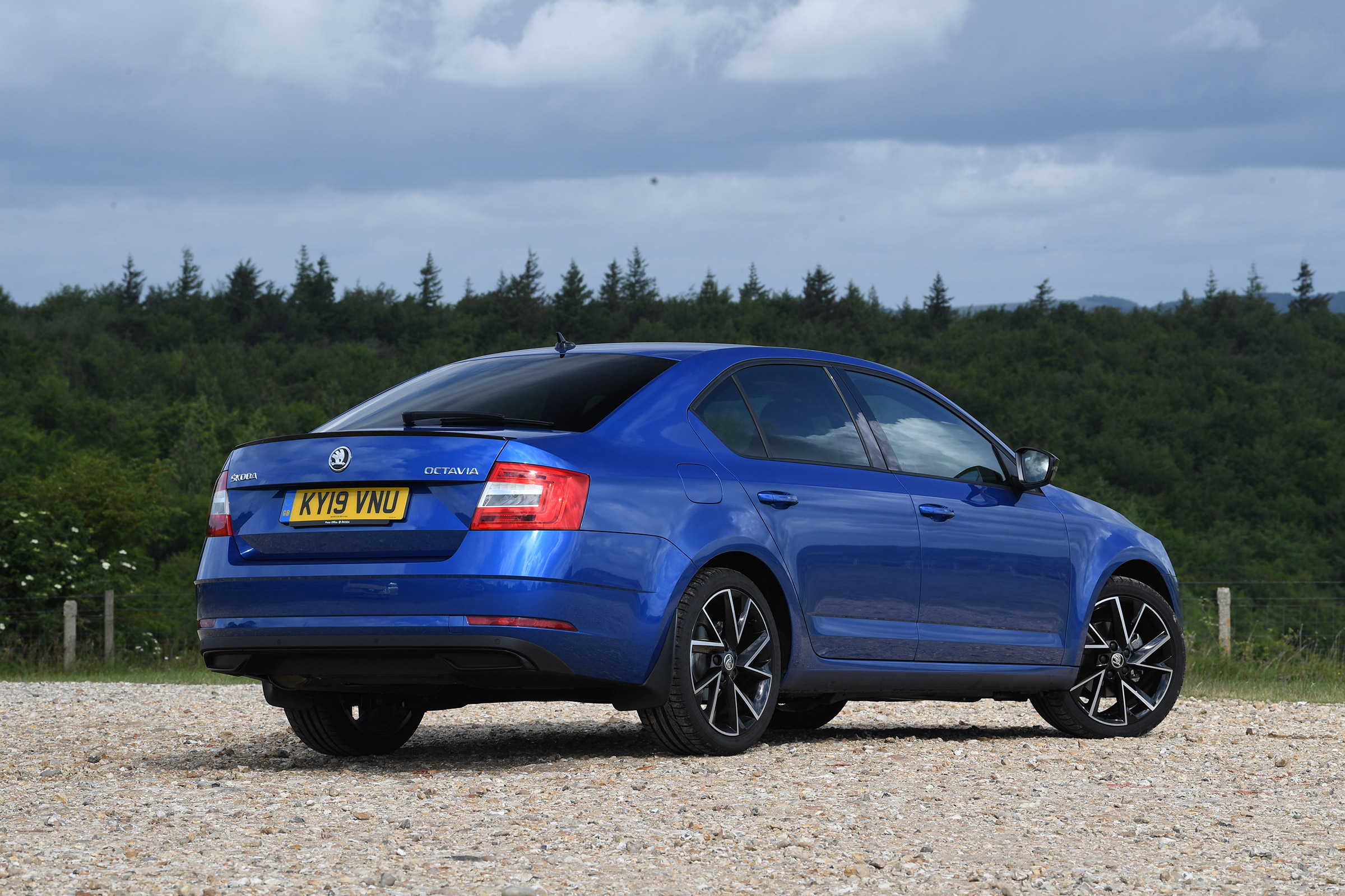 Skoda Octavia Sportline - rear static