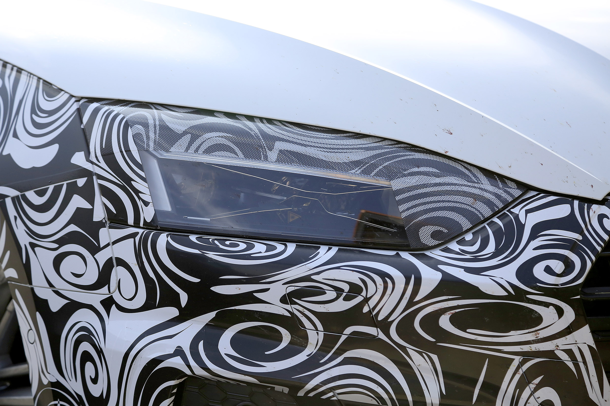 Audi S5 Sportback - spyshot 8