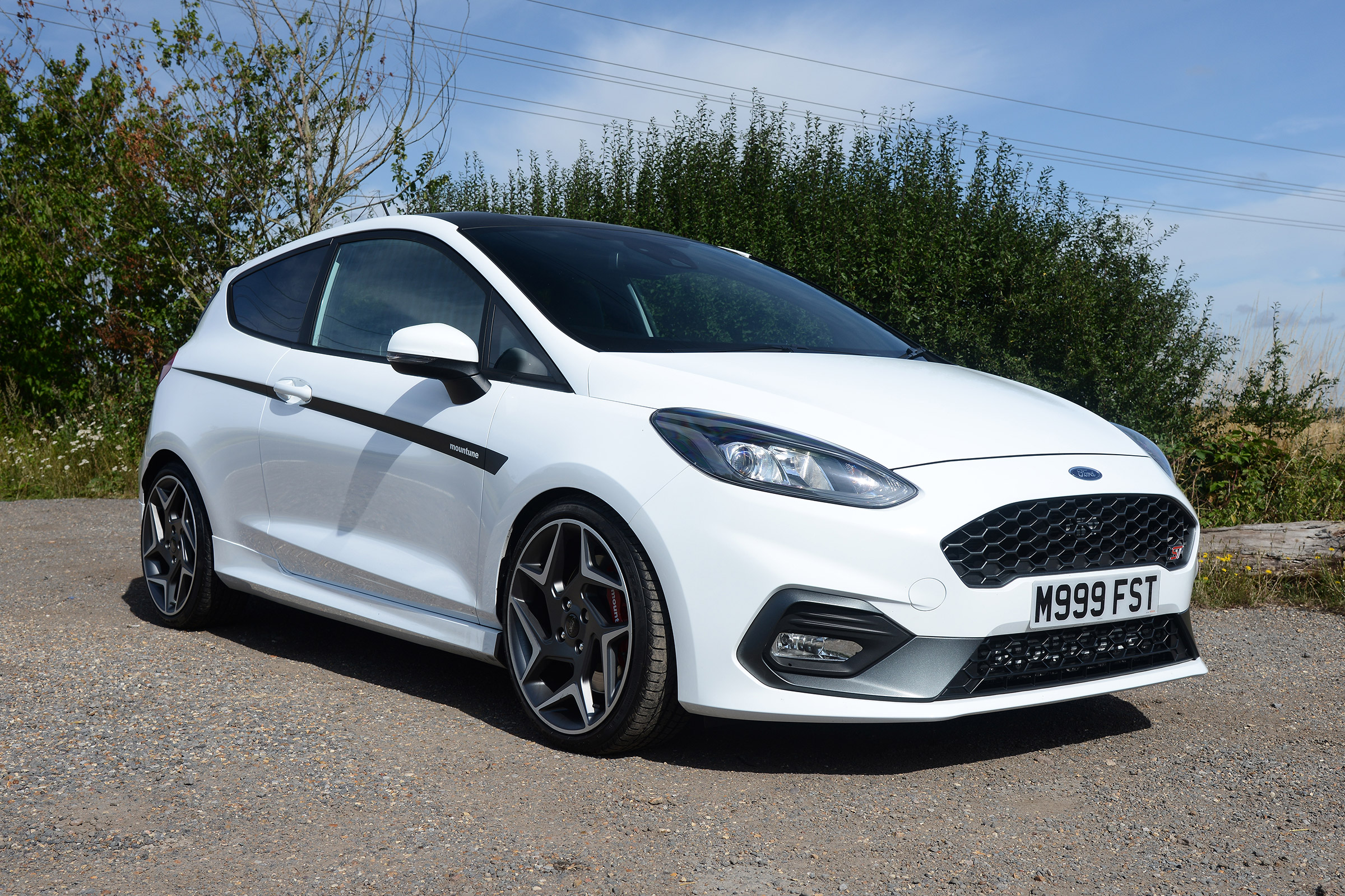 Ford Fiesta ST M225 - front static