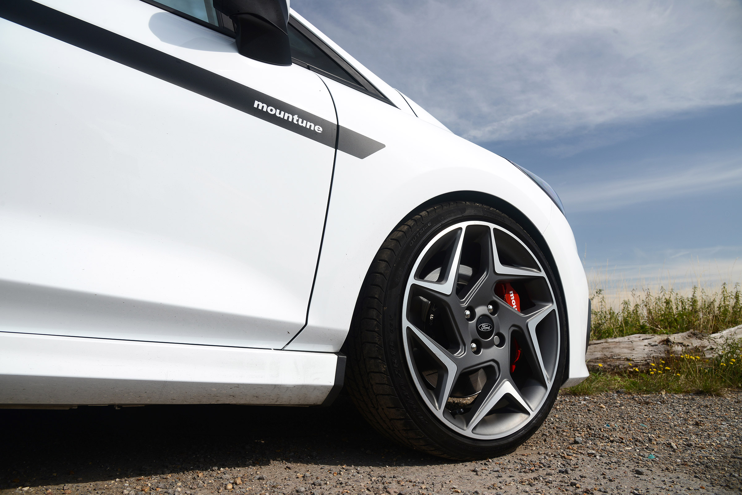 Ford Fiesta ST M225 - profile