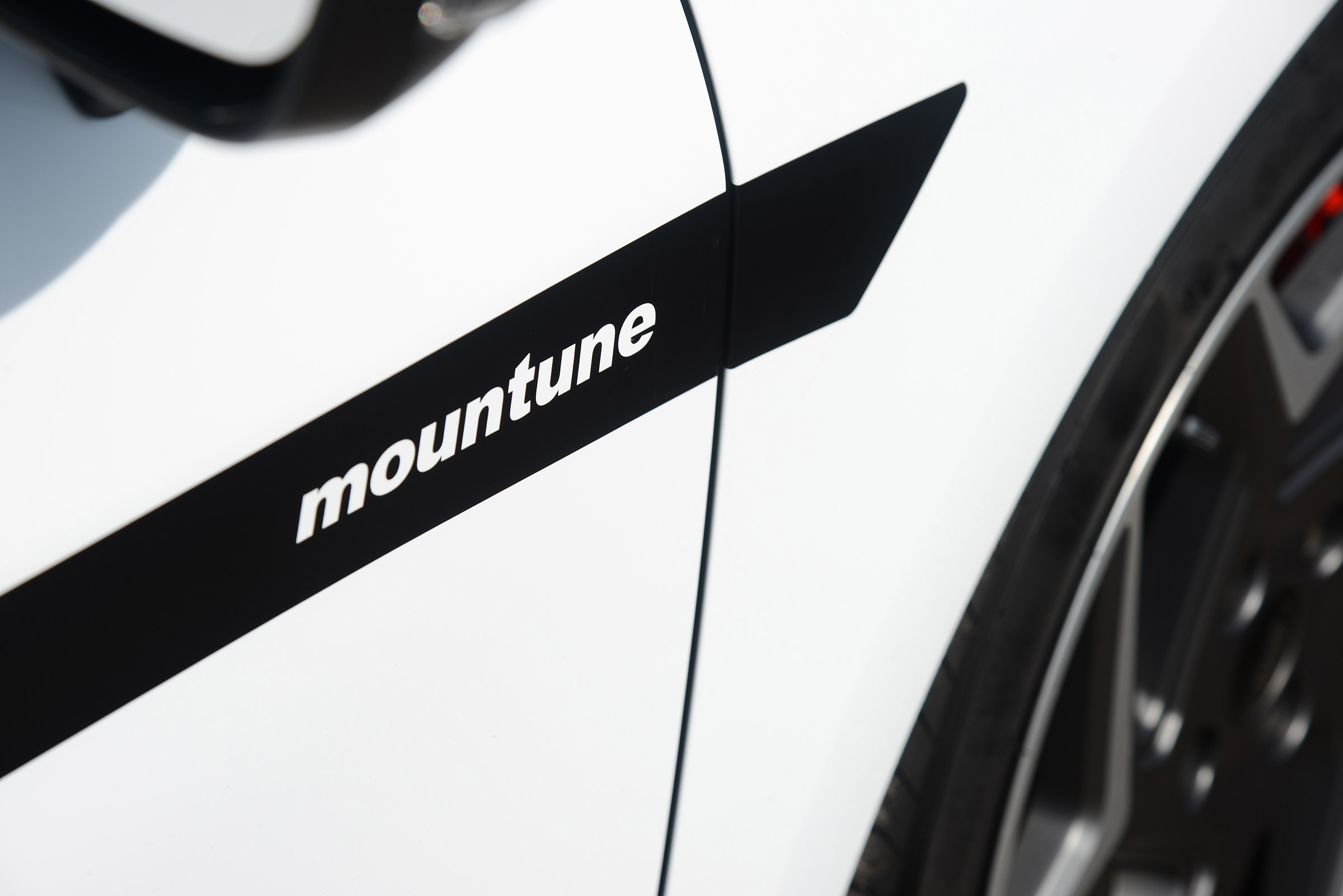 Ford Fiesta ST M225 - side detail