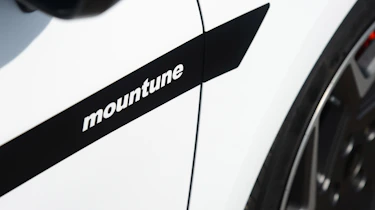 Ford Fiesta ST M225 - side detail