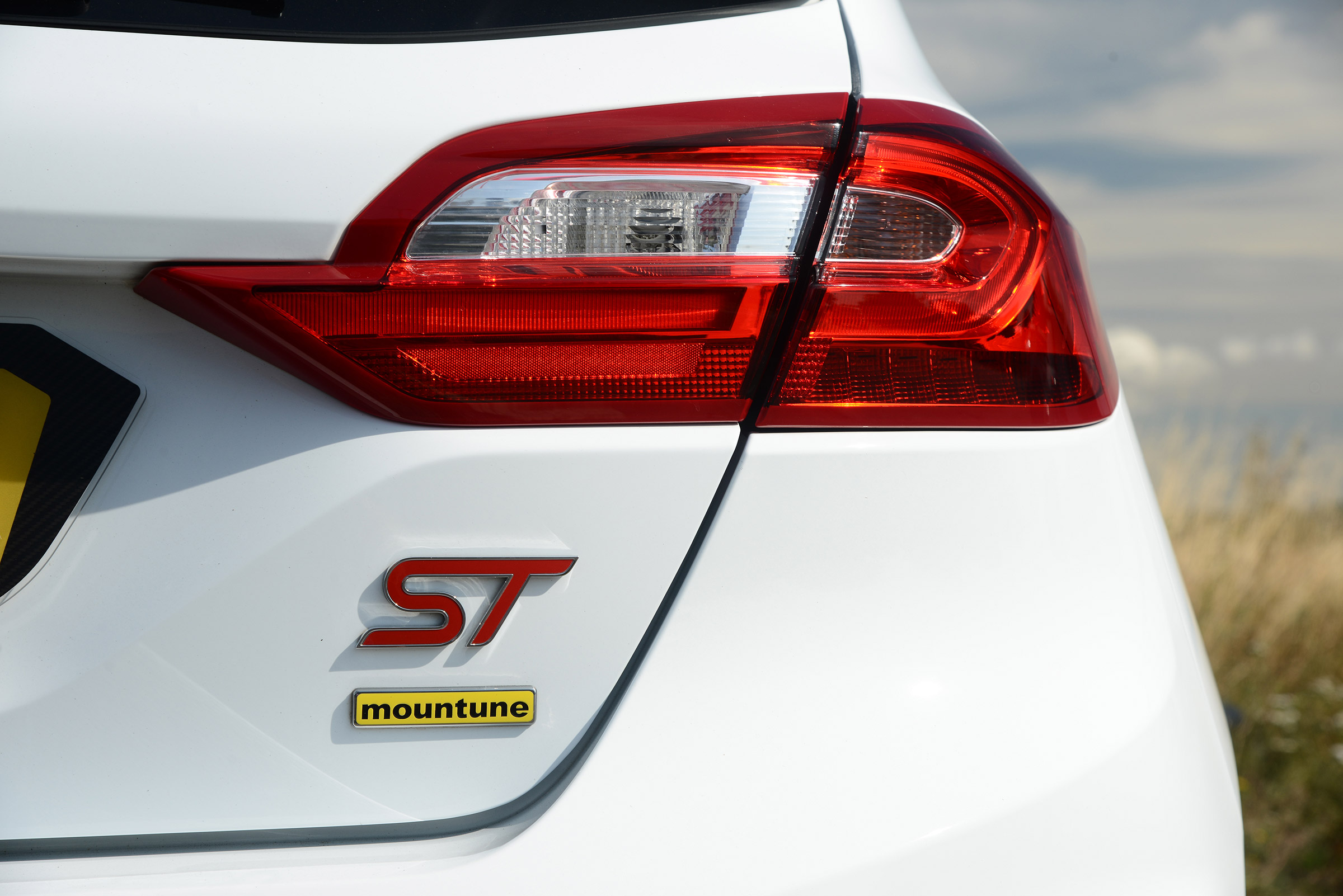 Ford Fiesta ST M225 - rear badge