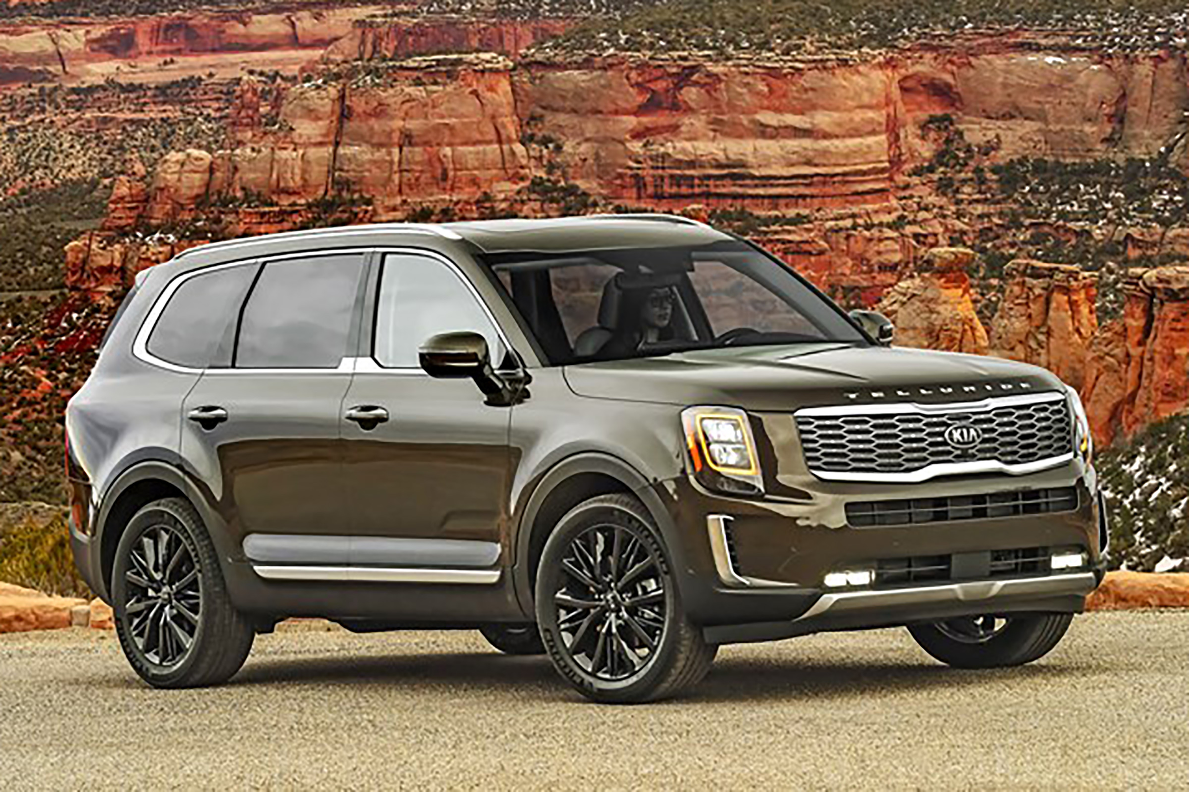 Kia Telluride - static
