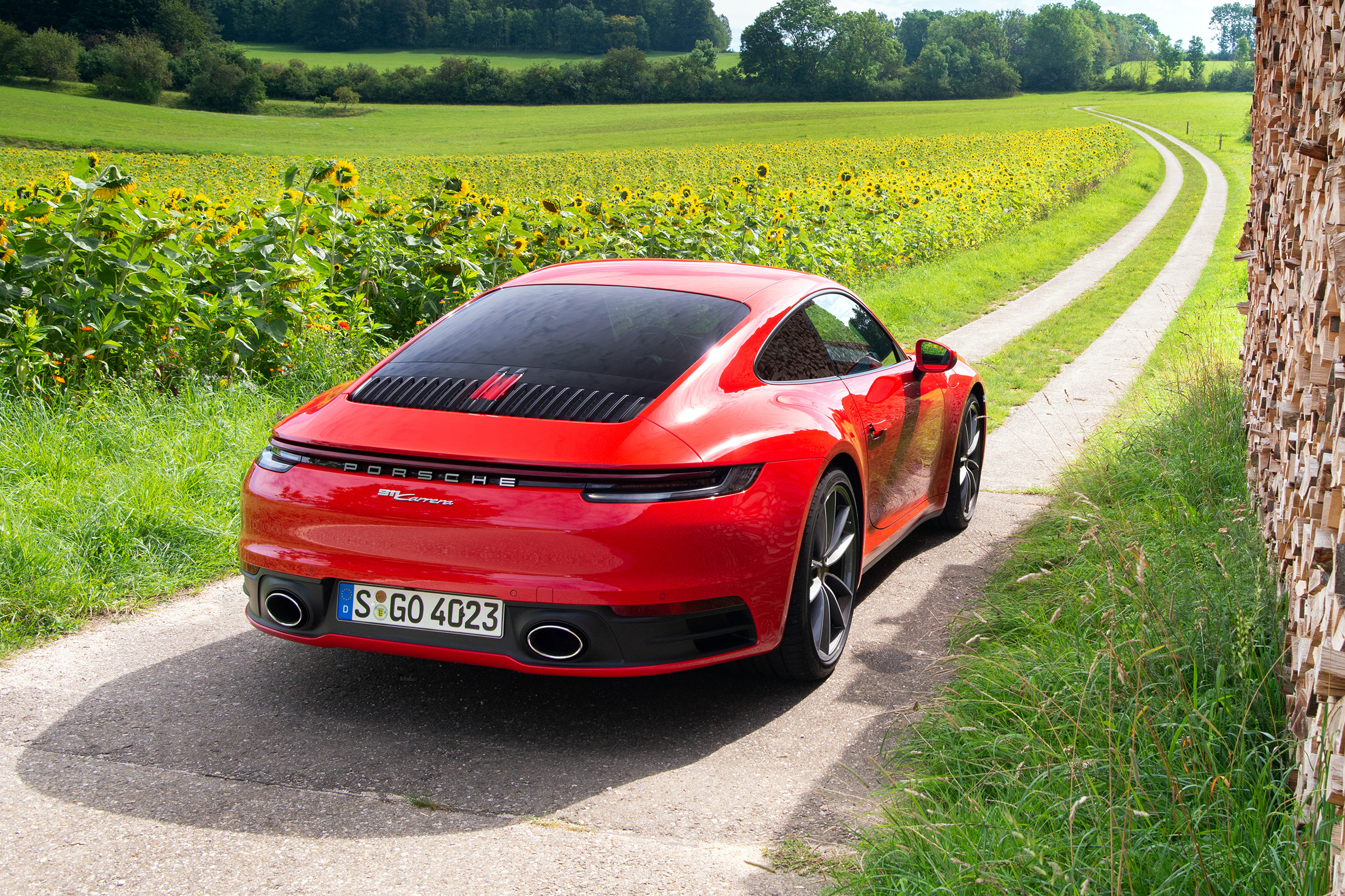 Porsche 911 Carrera - static rear