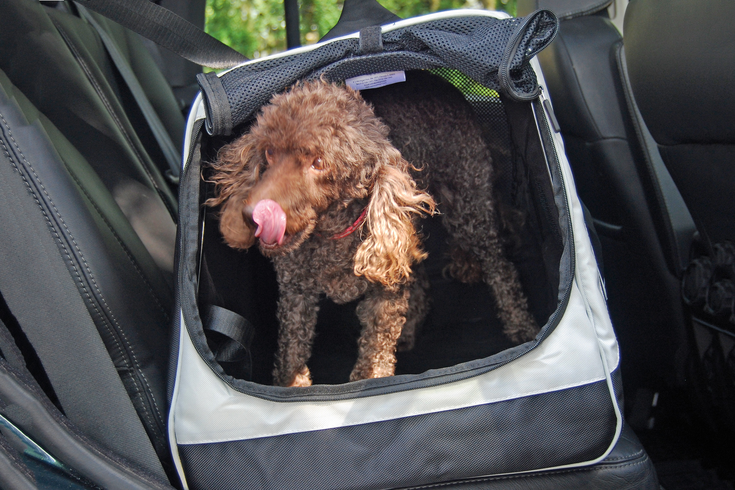 Petego EB Jet Set Jumbo Isofix