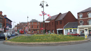 Daffodil roundabout, Leek