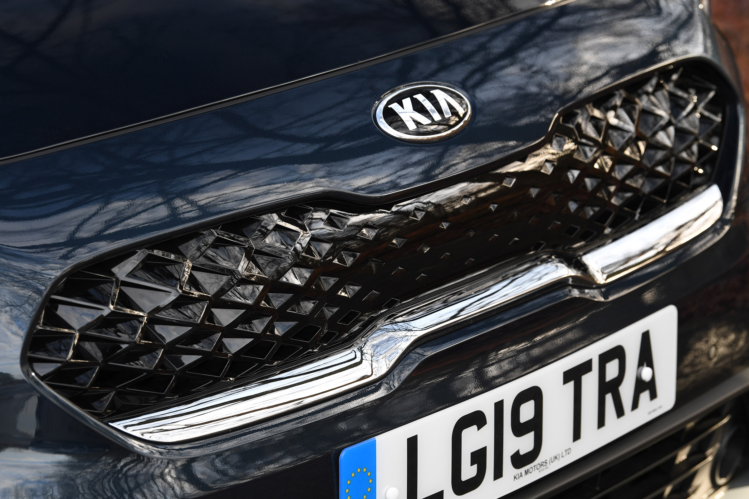 Kia Niro PHEV - grille