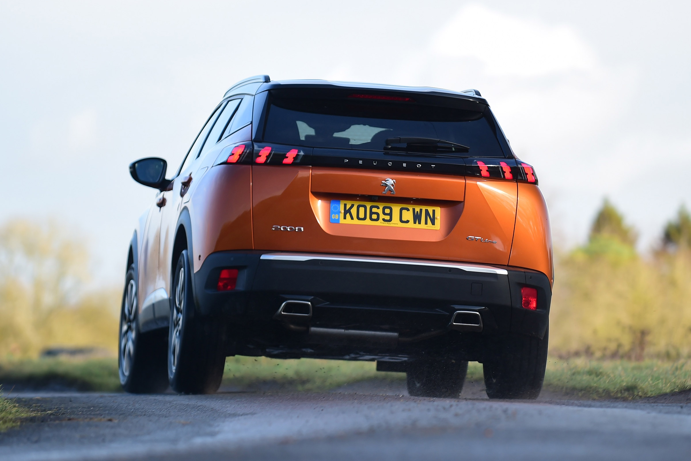Peugeot 2008 - rear