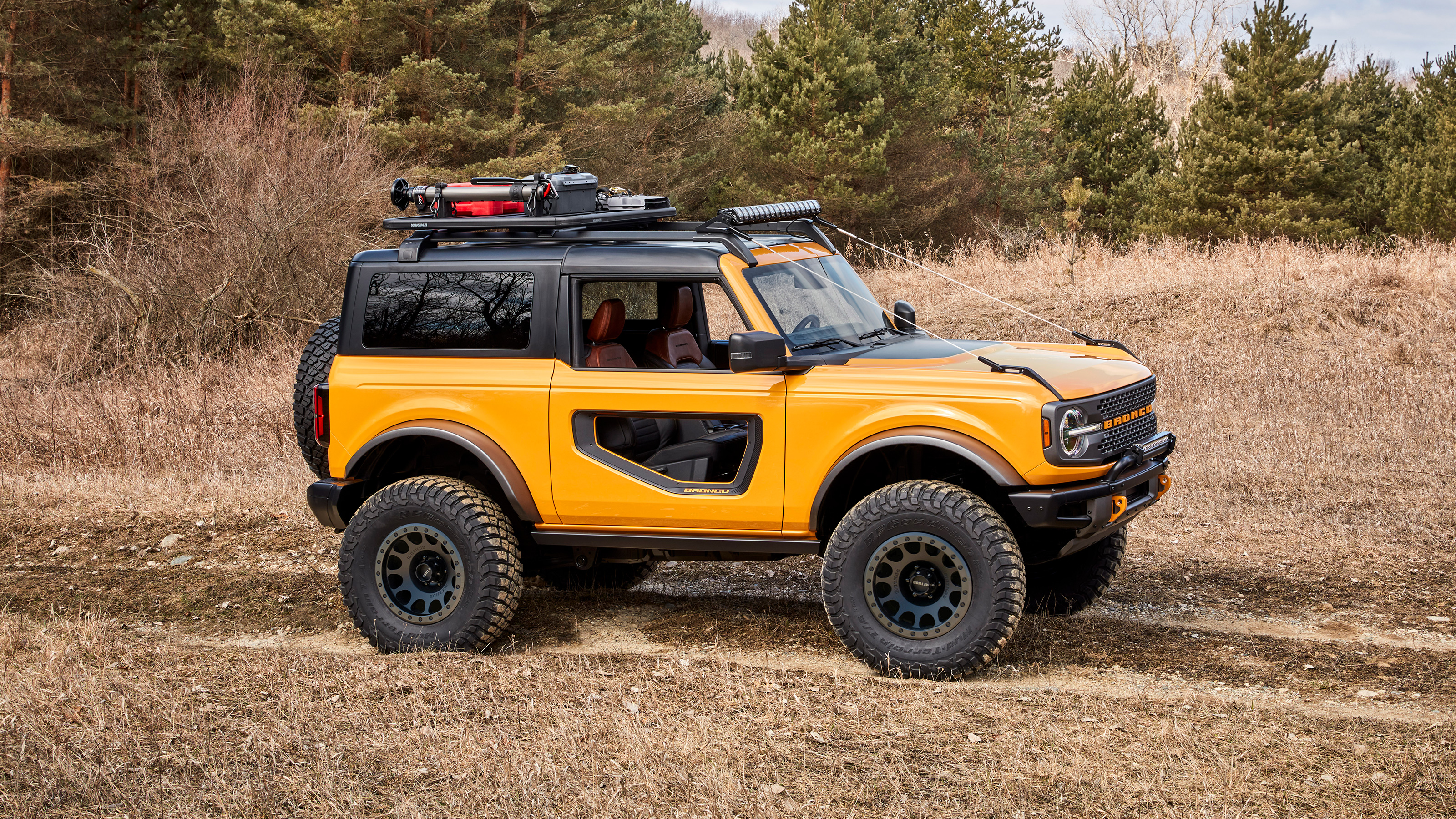 Ford Bronco 6