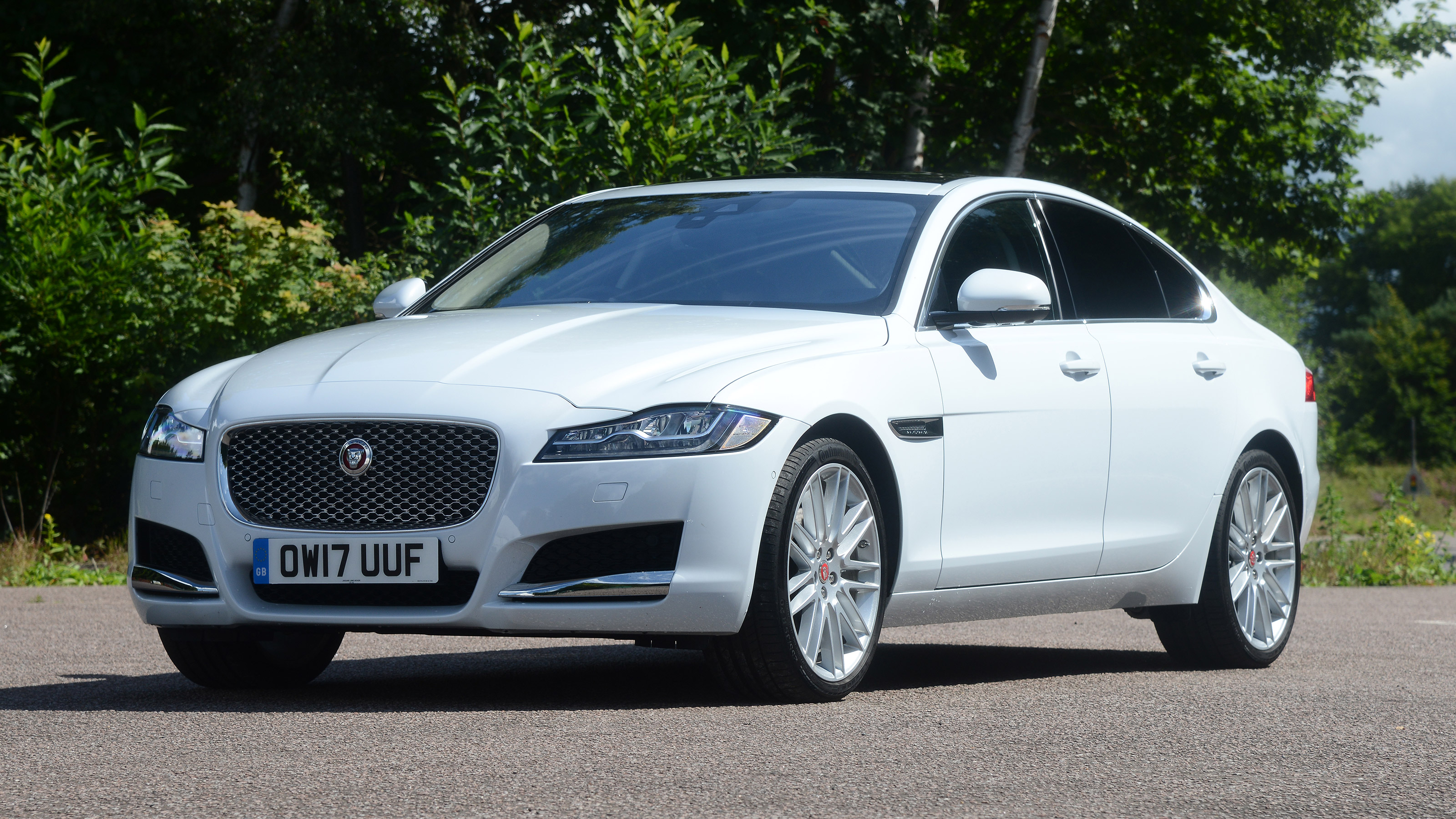 white jaguar xf