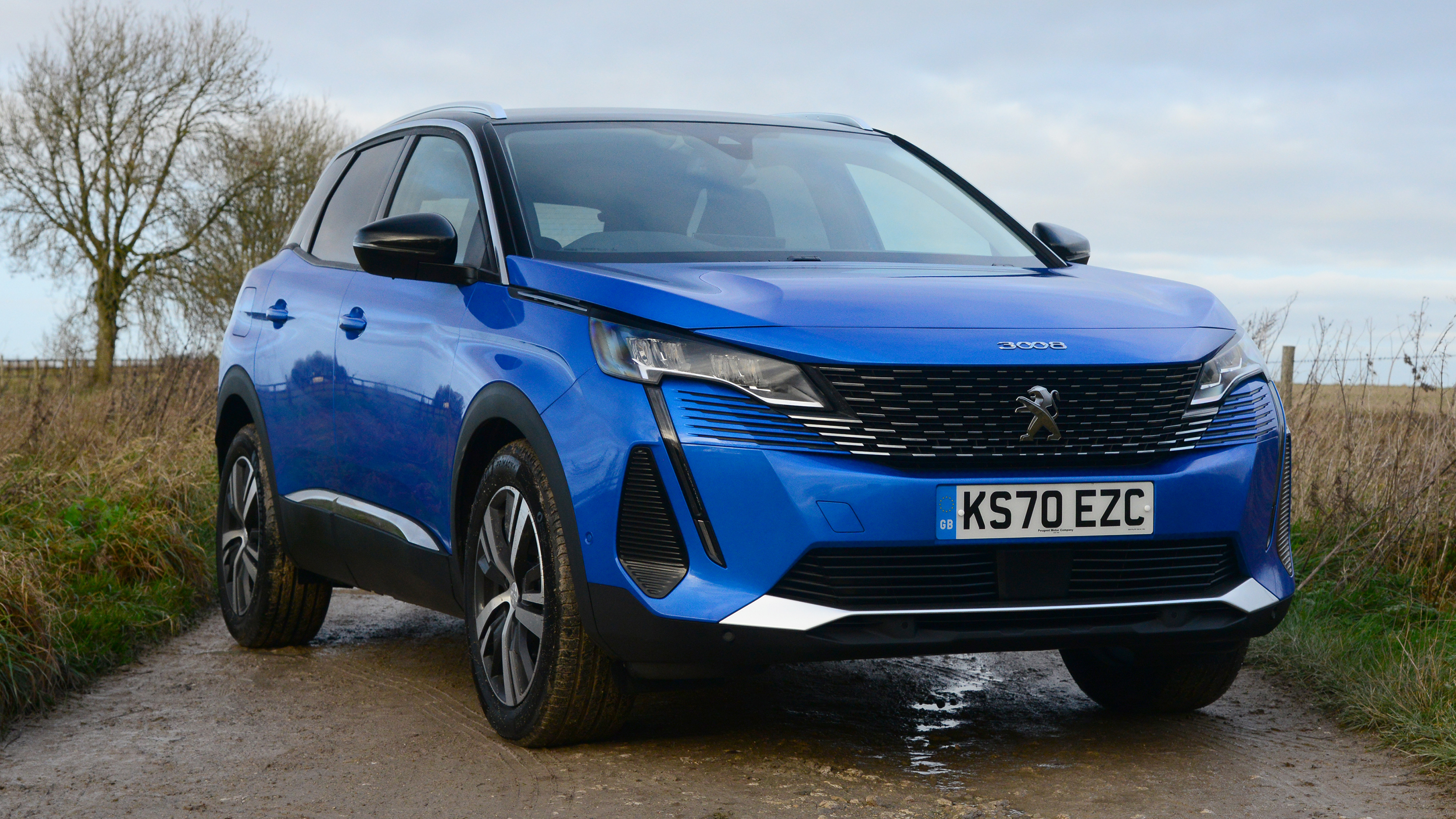 Peugeot 3008 - front static